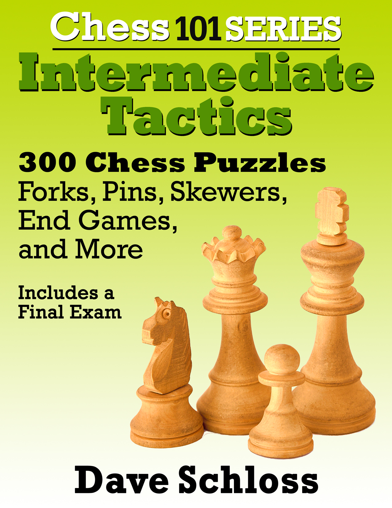 <i>300 chess tactics puzzles covering pins, forks, skewers, end games and more!</i>